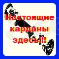Карданные валы оптом со склада в Москве