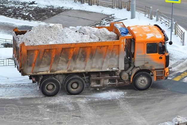 Вывоз снега самосвалами