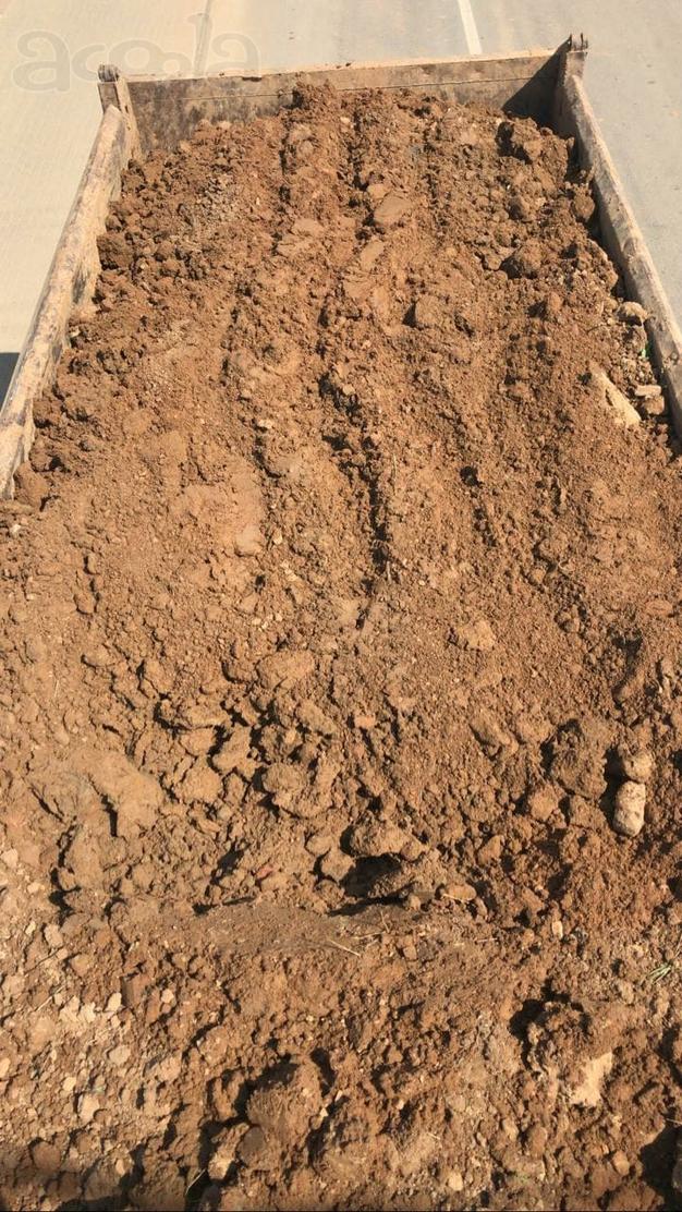 Требуются самосвалы на самовывоз грунта