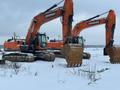 Экскаваторы doosan