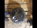 Редуктор хода  Doosan