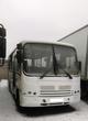 Автобус ПАЗ 320402-03