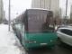 Заказ автобуса на 50 человек