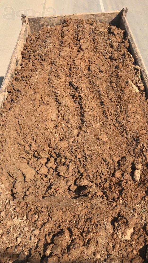 Требуются самосвалы на САМОВЫВОЗ грунта. Район Кунцево. Оплата б/н 340рублей за 1 м3.