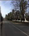 Переезды/доставка/грузоперевозки Москва Раменское Быково