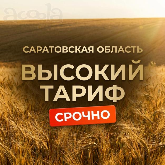 Нужны самосвалы в Саратовскую область! Срочно!