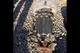 МКПП BMW 525d E60 рестайл. GS6-53DZM57